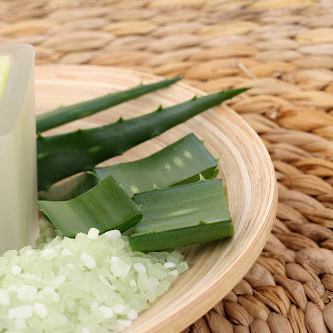Aloe Vera Lotion Candle: Will This Work On Dry Skin aloe vera lotion candle